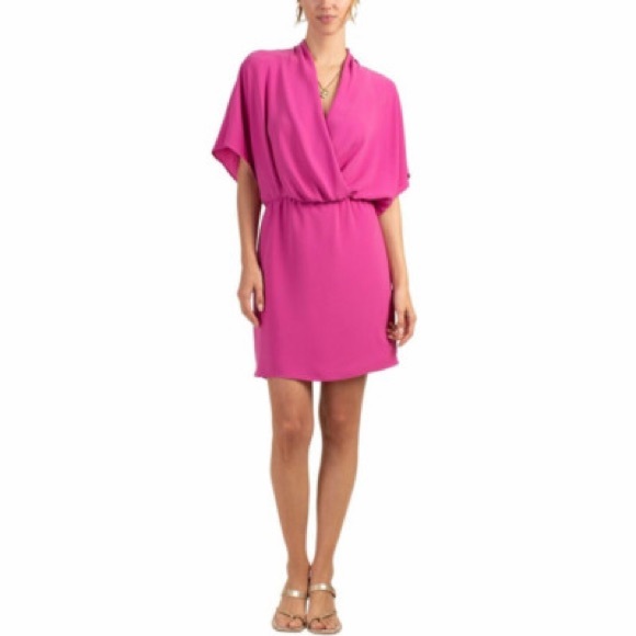 Tina Turk Dresses & Skirts - NWT TRINA TURK Concourse Surplus Blouson Mini Dress Hyacinth Pink Large 646